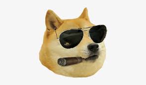 DOGE accepting casino sites